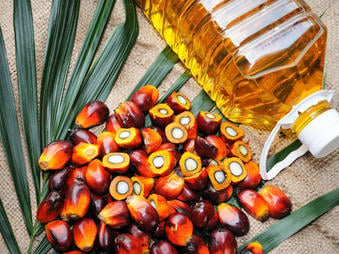 Palm Oil Image
